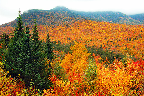 Photo of the Day Award, October 2022