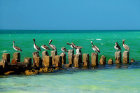 Florida