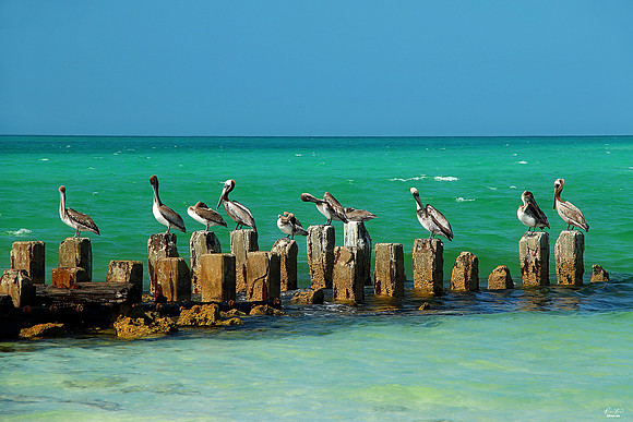Bradenton, FL
