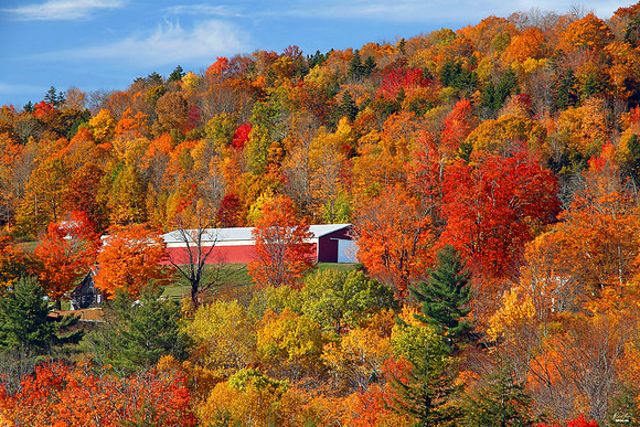 Top Photo Award, October 2022