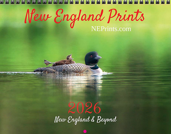 New England Prints 2026 Calendar