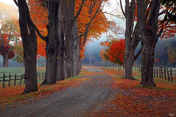 4X Winner: Best Fall Photo, Photo of the Week, Best Photo Outside the City, Best Int. Fall  Oct 2022