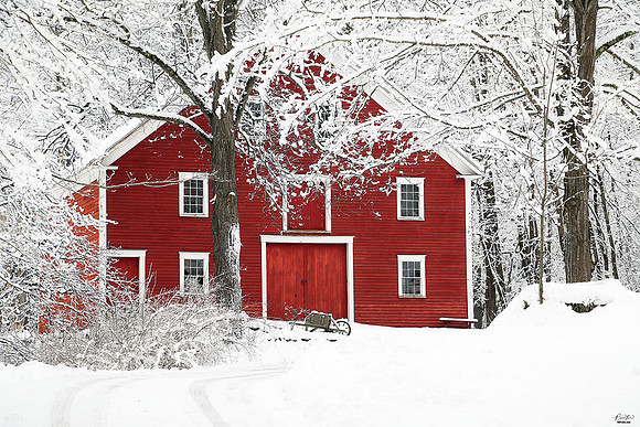 2x Winner: Photo of the Week Award, Best Photo outside of the City Limits, January 2023