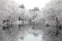 Winter Images
