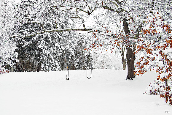 Photo of the Month Award, Best Photo Outside of the City Limits, February 2023