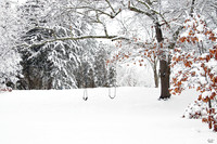 Photo of the Month Award, Best Photo Outside of the City Limits, February 2023