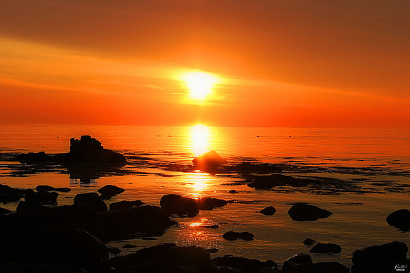 Marshfield, MA: Photo of the Week Award, July 2018