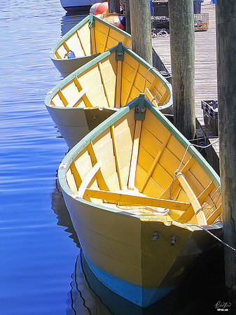 Gloucester, MA