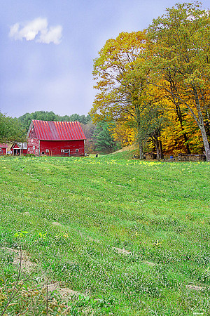 VT