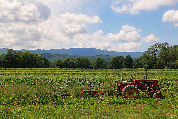 VT