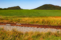 VT
