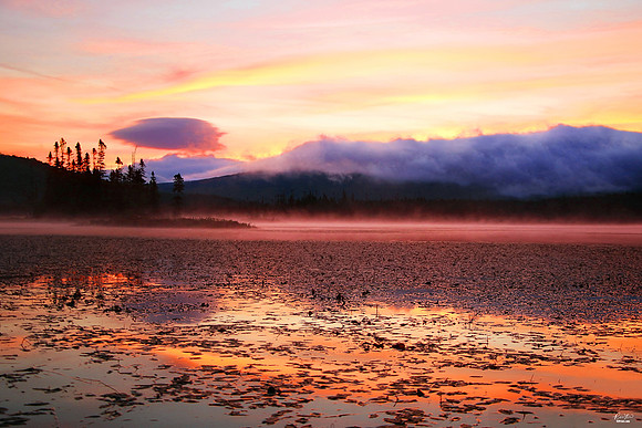 International Photo of the Day Award, October 2024