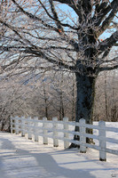 Cabot, VT