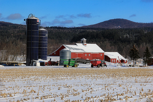 VT