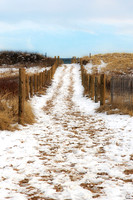 Plum Island, Newburyport, MA