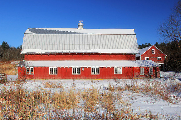 VT