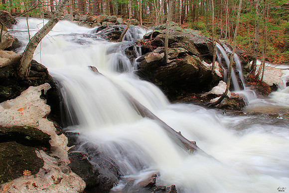 NH