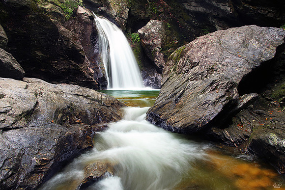 National Photographers Photo of the Day Award, October 2022