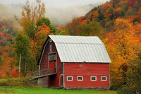 VT