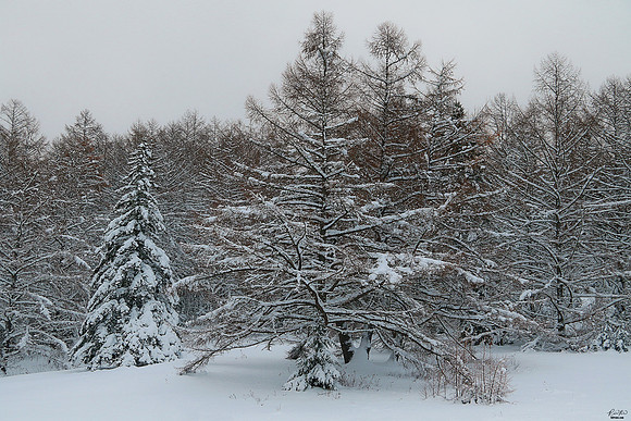 Dixville, NH