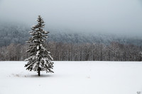 Dixville, NH