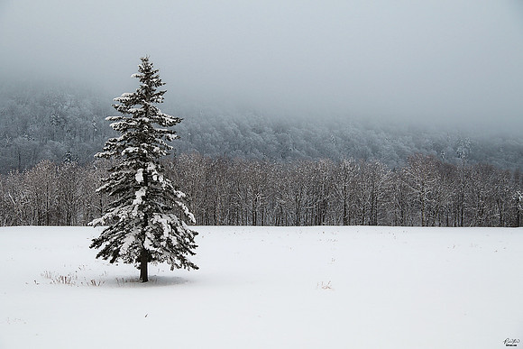 Dixville, NH
