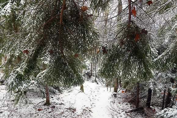 Dixville Notch, NH