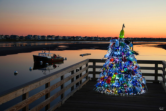 National Photographers Photo of the Day Award, December 2023