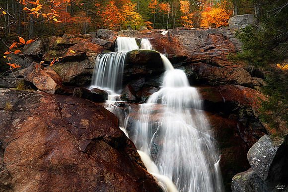 2x Winer: International Photo of the Week Award and National Photo of the Day Award, Oct / Nov 2021