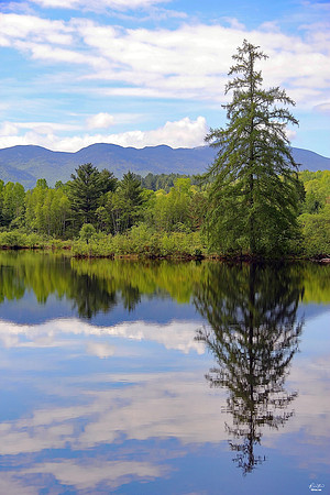 White Mountains, NH: 2 Time Winner, Photo of the Week Award, May 2018