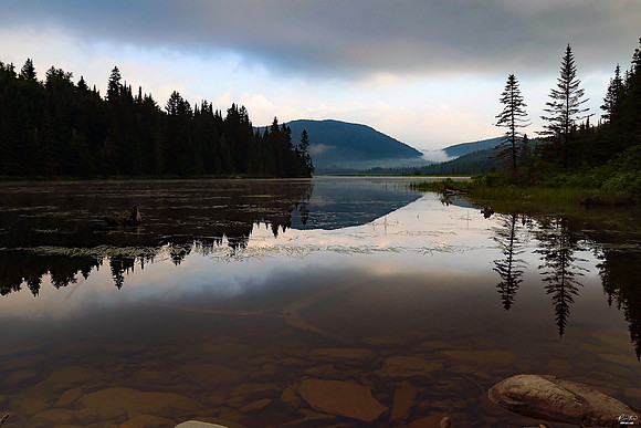 National Photographers Photo of the Day Award, July 2019