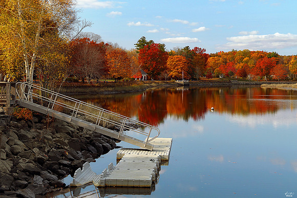 International Photo Award for most "Autumn Love" Award, November 2021