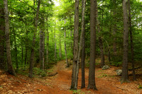 NH