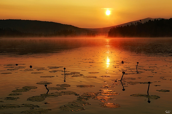 Featured in VisitNH, August 2019