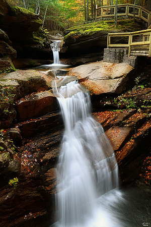 National Photographers Photo of the Day Award, October 2019
