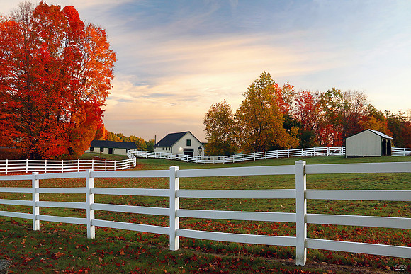 3x Winner: Best Autumn & Country Living Photo, Best Photo Exposure, Best Int'l Fall Photo, Nov. 2020