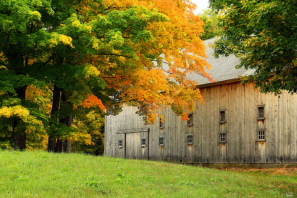 2x Winner: International Award for "Most Beautiful Fall" Outdoor Exposure / Photo Award, November 2020