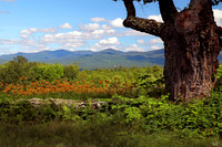 Sugar Hill, NH