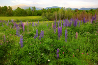 Sugar Hill, NH