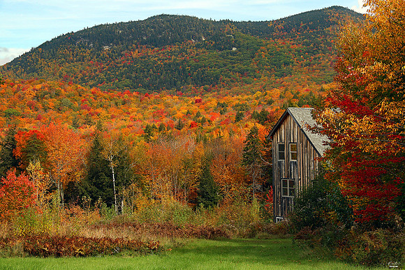 Thornton, NH (Read the Full Story in the Story Behind the Photo Tab)
