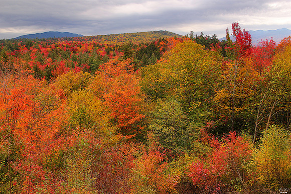 The White Mountains, NH
