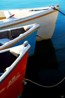 Photo of the Week Award, February 2021