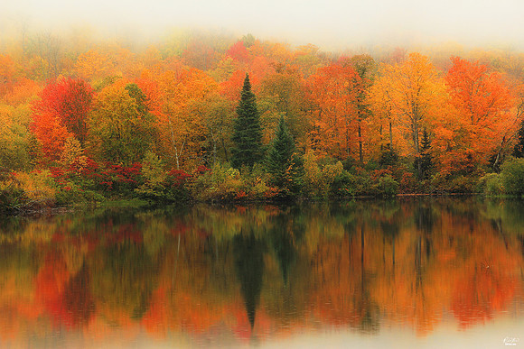 Sugar Hill, NH: 2 Time Winner: International Photo of the Week Award, October 2018