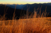 Hurricane Ridge, Olympic National Park