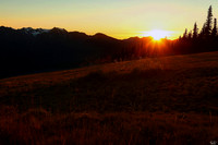 Hurricane Ridge, Olympic National Park