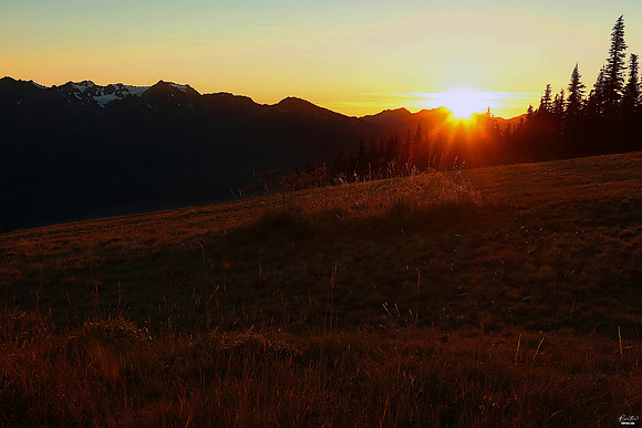 Hurricane Ridge, Olympic National Park