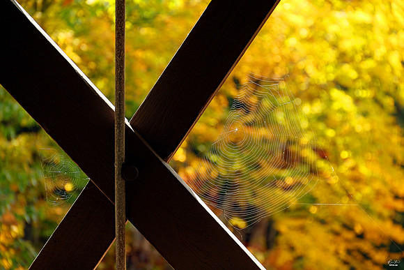 Honeymoon Covered Bridge, Jackson, NH