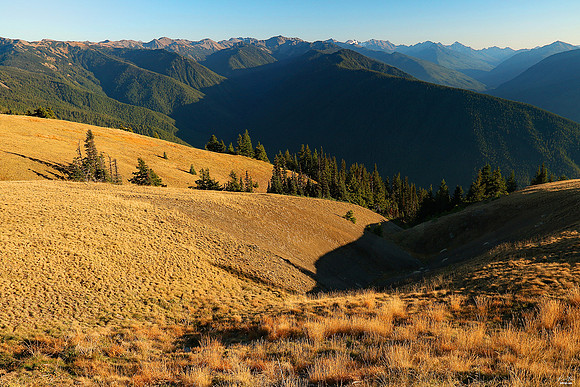 Hurricane Ridge, Olympic National Park