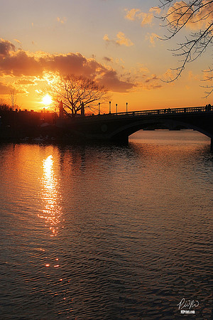 Cambridge, MA