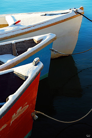 Photo of the Week Award, February 2021